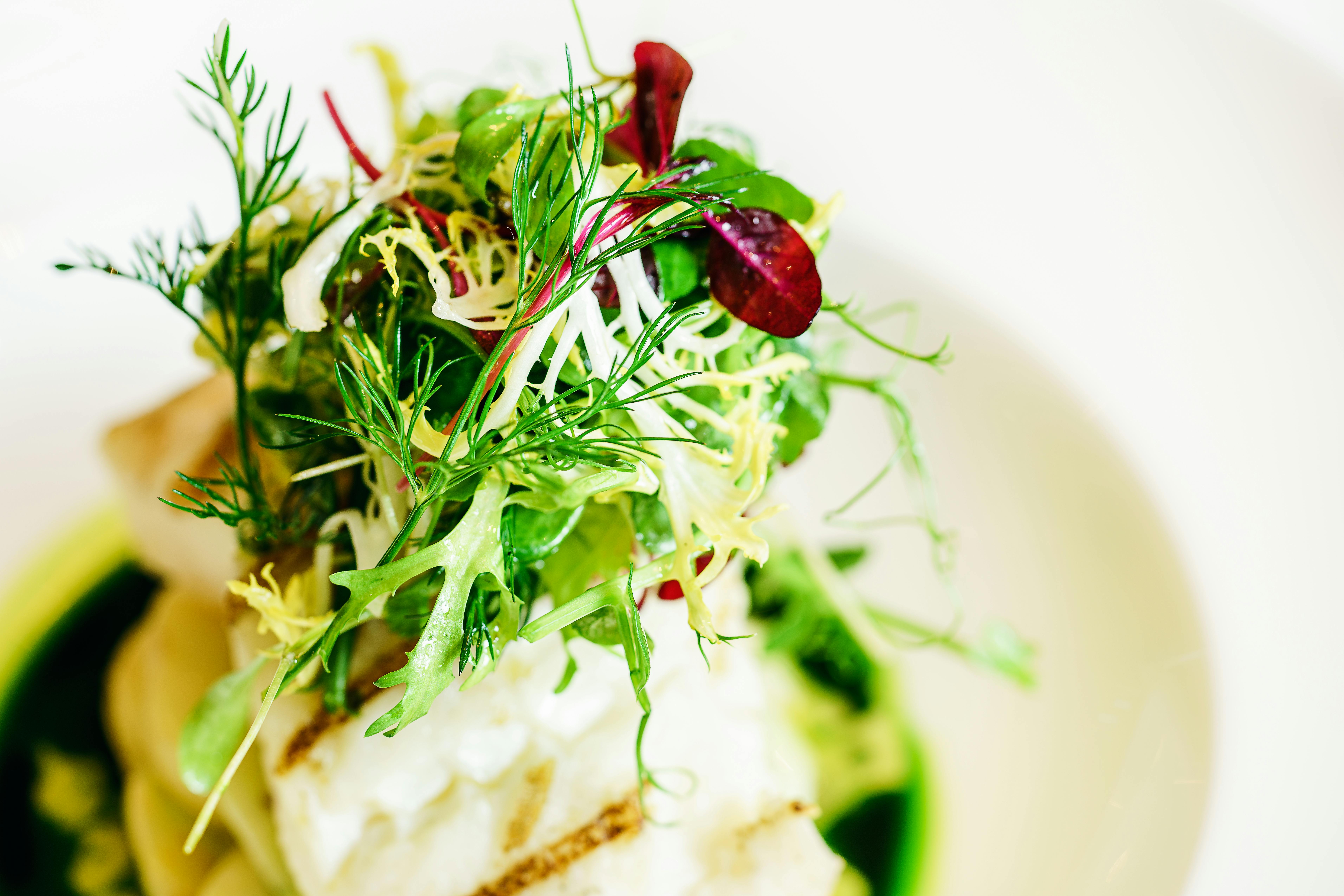 Private Chef St Maarten: Elevate Your Gourmet Vacation Dining Experience